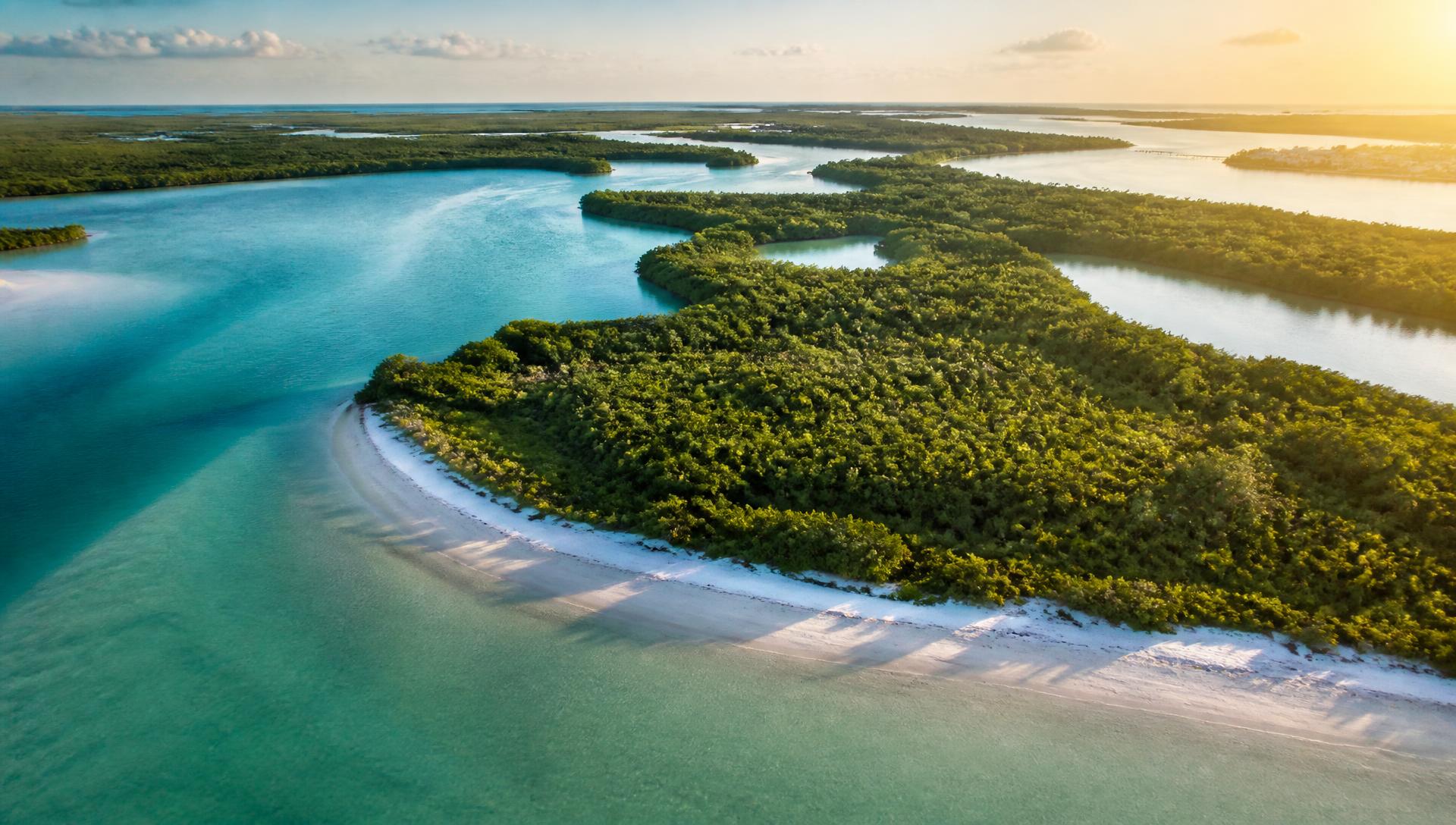Clear shallow estuary water